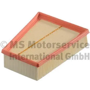 Air Filter (50014098)