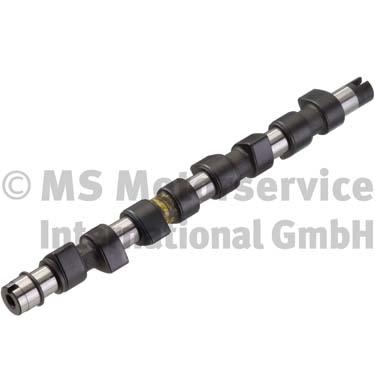 Camshaft (50007568)