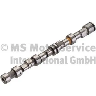 Camshaft (50006291)