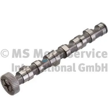 Camshaft (50006303)