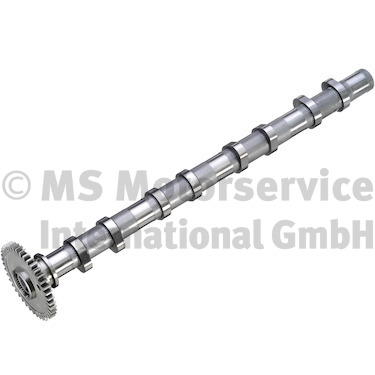 Camshaft (50007933)