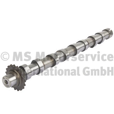 Camshaft (50007871)
