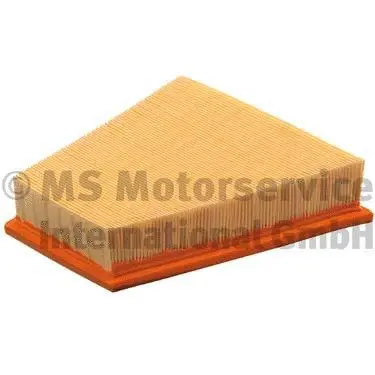 Air Filter (50013907)