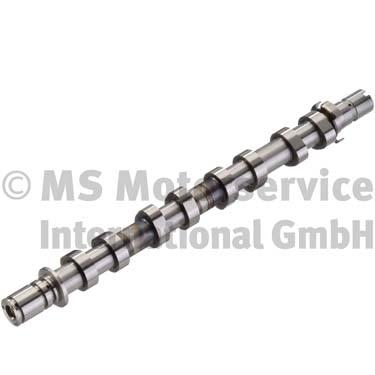 Camshaft (50006317)