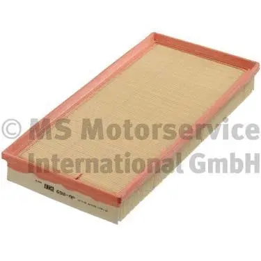 Air Filter (50013698)