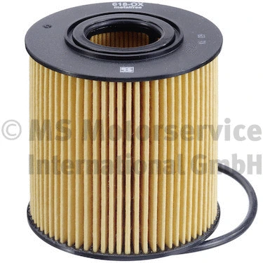 Oil Filter (50013618)