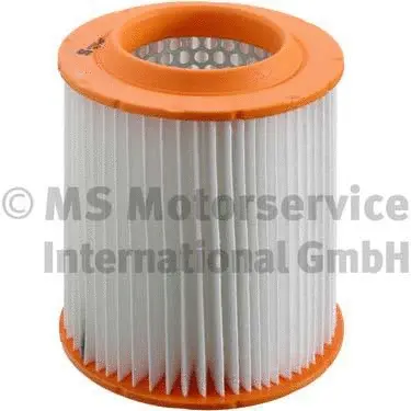Air Filter (50014555)