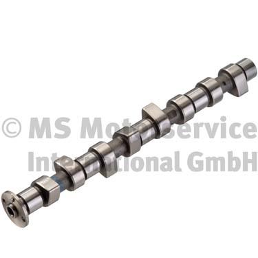 Camshaft (50006336)