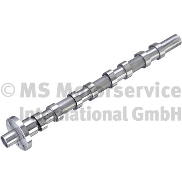 Camshaft (50007923)