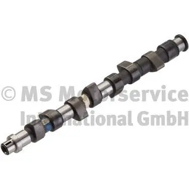 Camshaft (50006395)