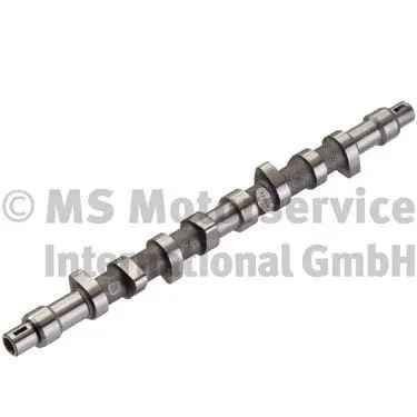 Camshaft (50006263)