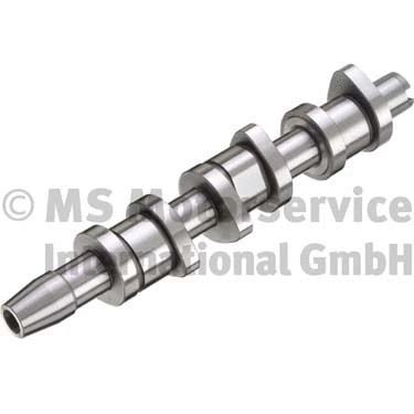Camshaft (50006388)