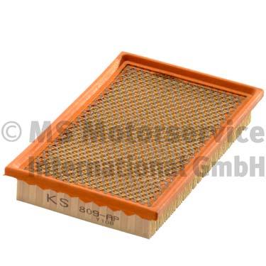 Air Filter (50013809)
