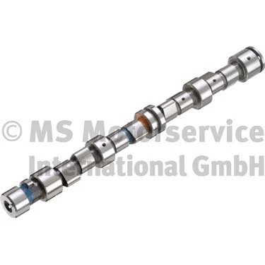 Camshaft (50006256)