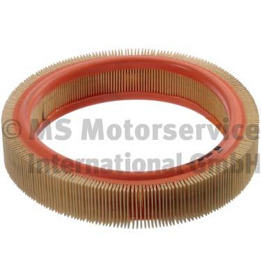 Air Filter (50013085)