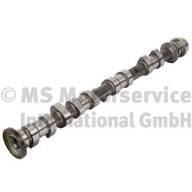 Camshaft (50007926)