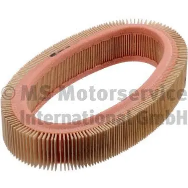 Air Filter (50013084)
