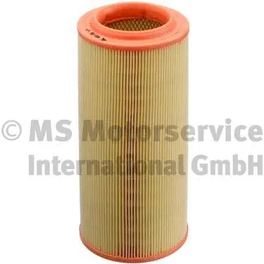 Air Filter (50013451)