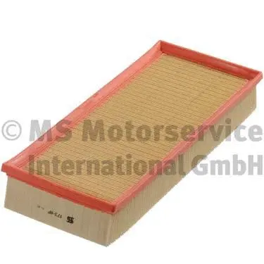 Air Filter (50013173)