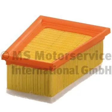 Air Filter (50013431)