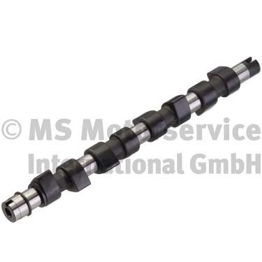 Camshaft (50006266)