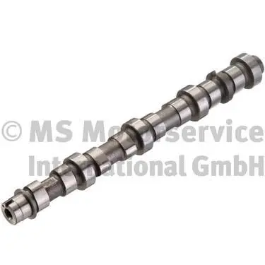 Camshaft (50007104)