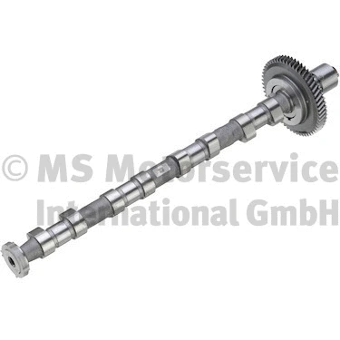 Camshaft (50007701)