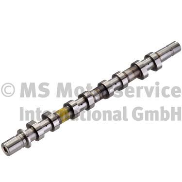 Camshaft (50006123)