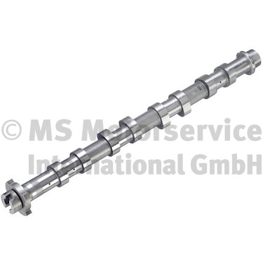 Camshaft (50007922)