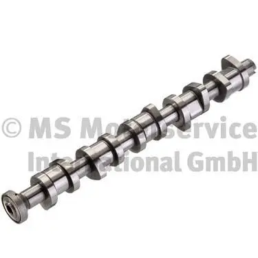 Camshaft (50007577)