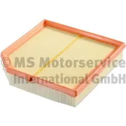Air Filter (50014938)