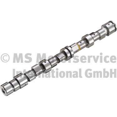 Camshaft (50006249)