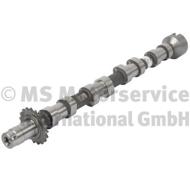 Camshaft (50007706)