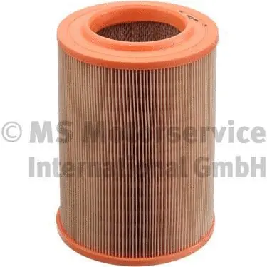 Air Filter (50013293)