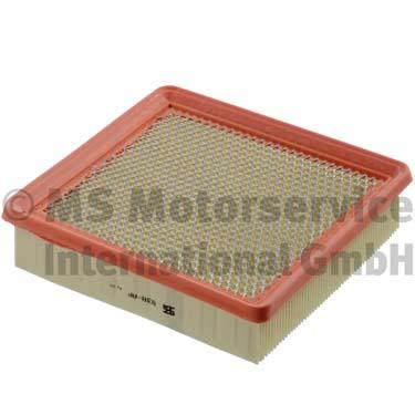 Air Filter (50013838)