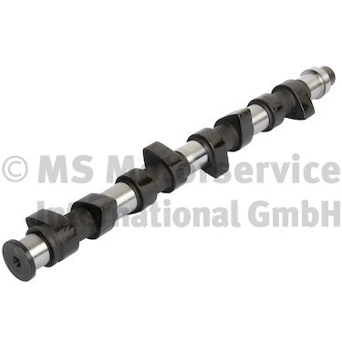 Camshaft (50006398)