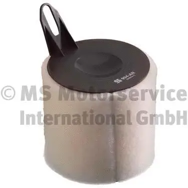 Air Filter (50013994)