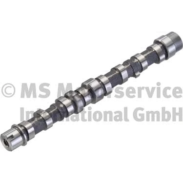Camshaft (50007024)