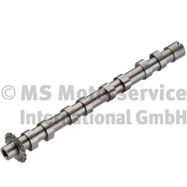 Camshaft (50007096)