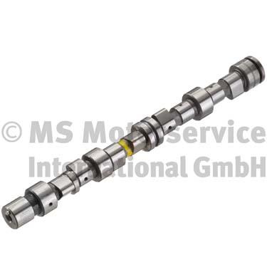 Camshaft (50006269)