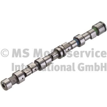 Camshaft (50006272)