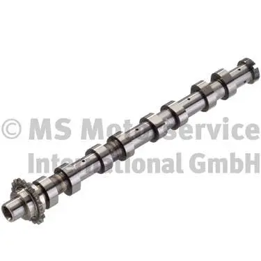 Camshaft (50007574)