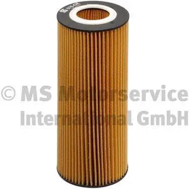 Oil Filter (50013575)