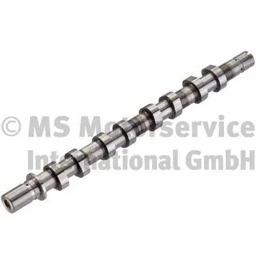 Camshaft (50006315)
