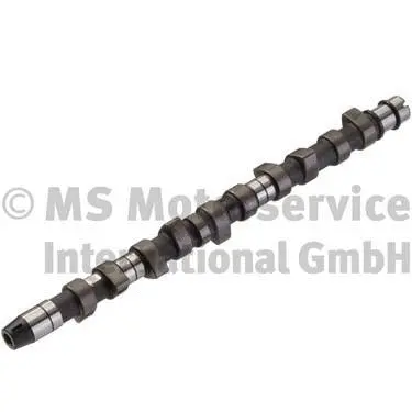 Camshaft (50006215)