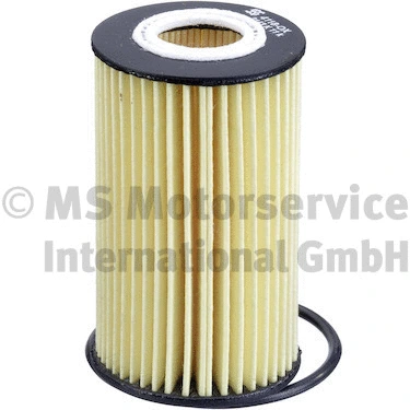 Oil Filter (50014118)