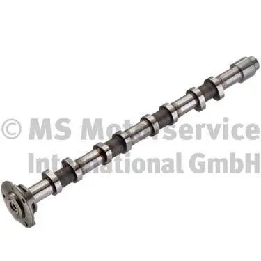 Camshaft (50007095)