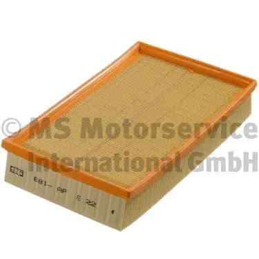 Air Filter (50013681)