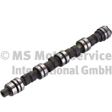 Camshaft (50006261)