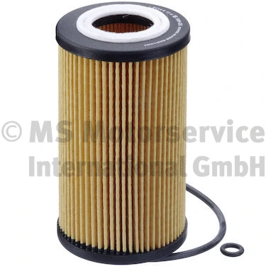 Oil Filter (50013569)